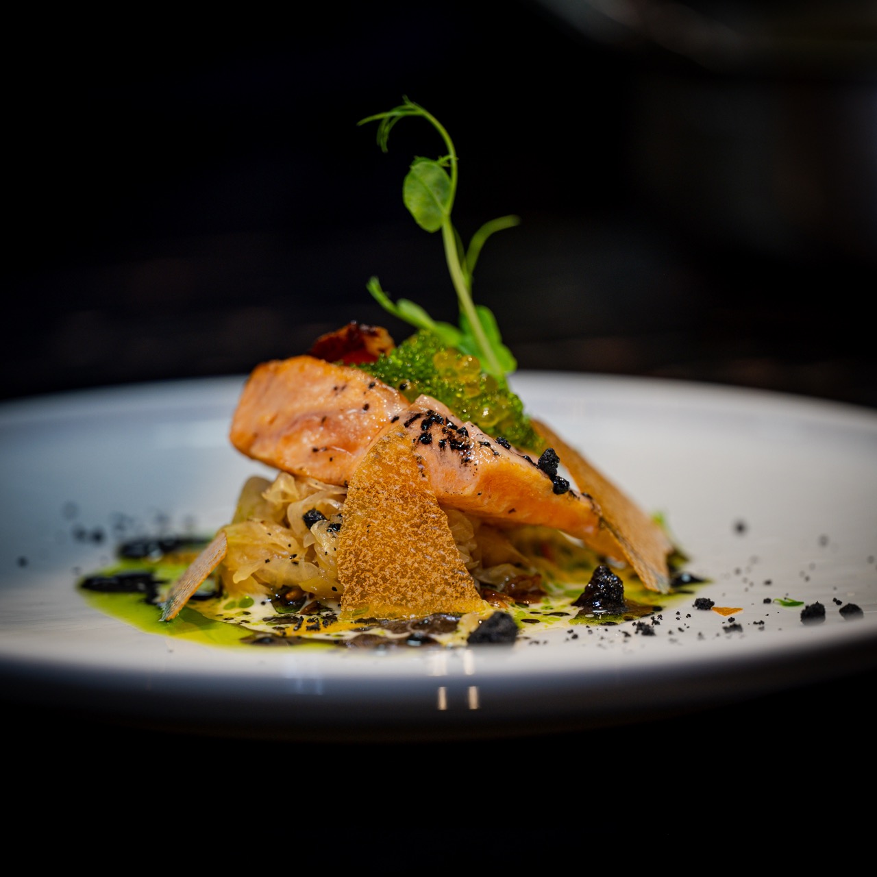 Kunstvoll angerichtetes Lachsgericht auf weissem Teller — Food-Fotografie